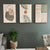 Set von 3PCS Neutrale Töne Tropische Botanische Abstrakte Wandkunst Feine Kunst Leinwanddrucke Bilder Für Wohnzimmer Esszimmer Skandinavische Wohnkultur