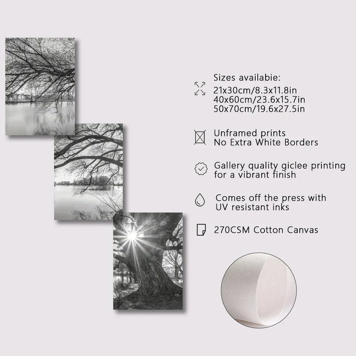 Set von 3 Stück Große Baum See Sonnenuntergang Wandkunst Fine Art Leinwanddrucke Schwarzweiß Landschaftsbilder Für Wohnzimmer Schlafzimmer Esszimmer Kunst Dekor