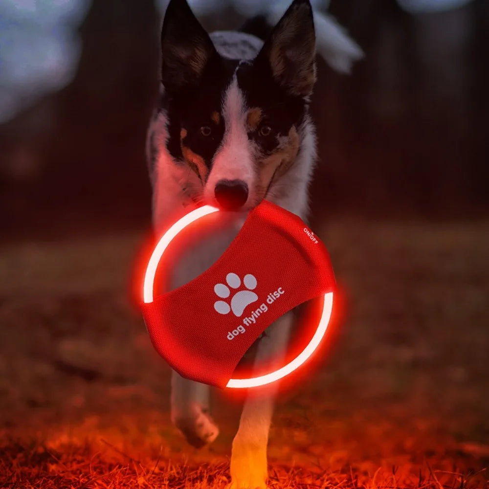 LED Frisbee für Hunde wiederaufladbar und wasserdicht Karnz