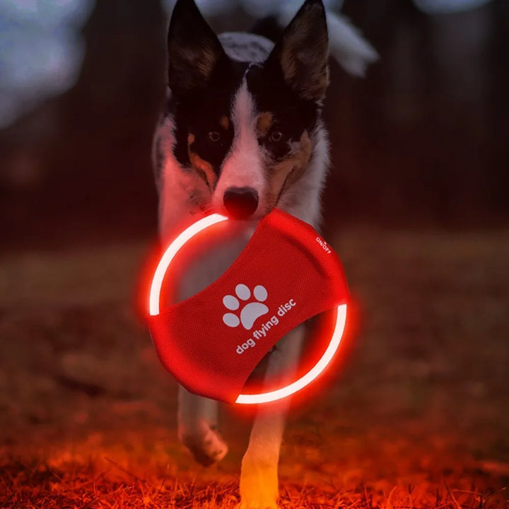 LED Frisbee für Hunde wiederaufladbar und wasserdicht Karnz