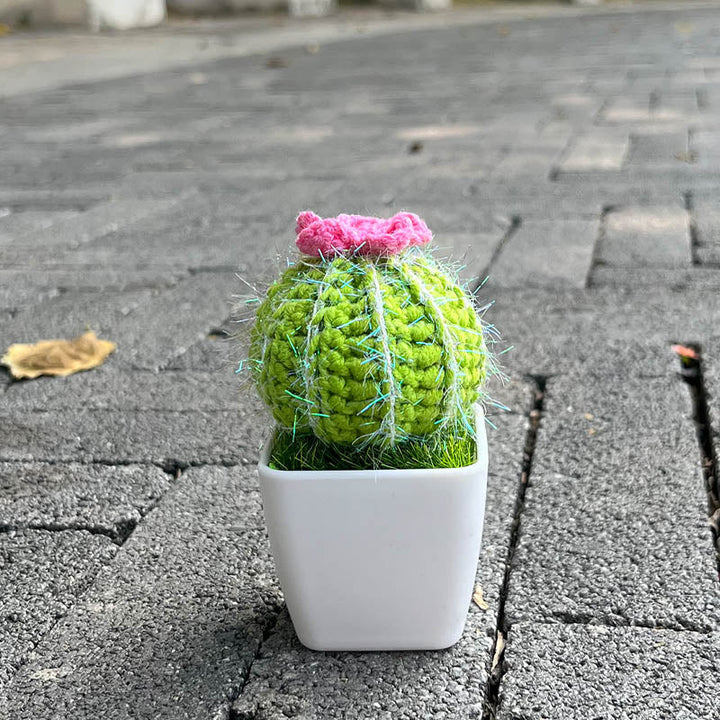 Handgestrickte Kaktee
