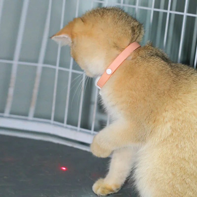 Freesthetic Laser-Kragen für Katzen Karnz