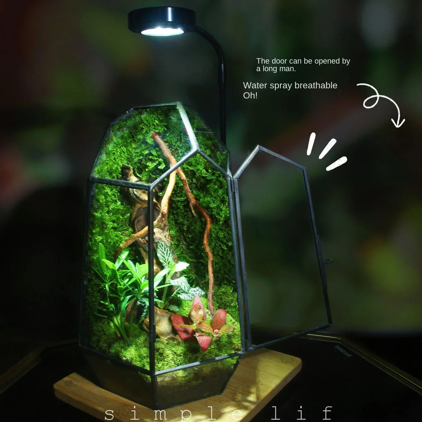 Moderner geometrischer, von der Natur inspirierter botanischer Terrarium
