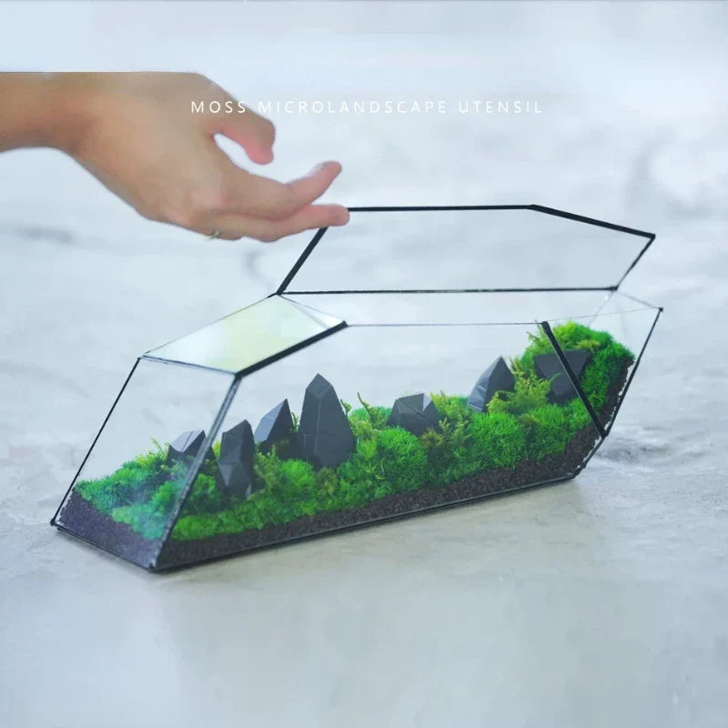 Geometric Glass Moss Planter Terrarium Vase | Karnz