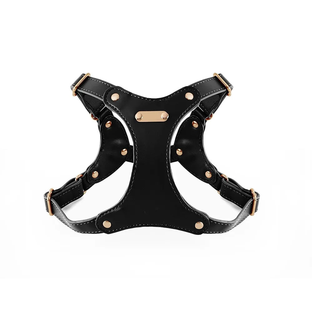 Verstellbares Leder-Hundegeschirr mit personalisierbarem Gravur Karnz