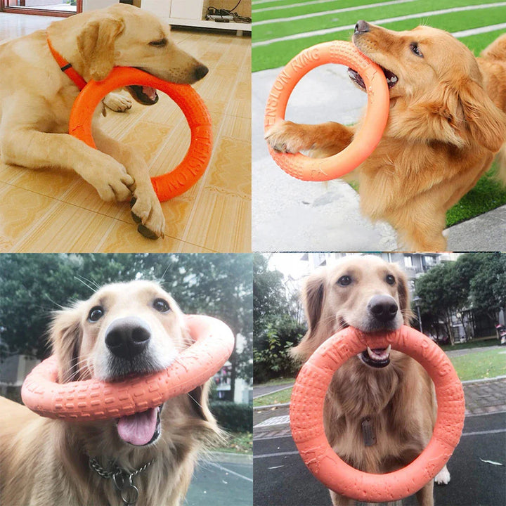 Schwebender EVA Trainingsring für Hunde Karnz