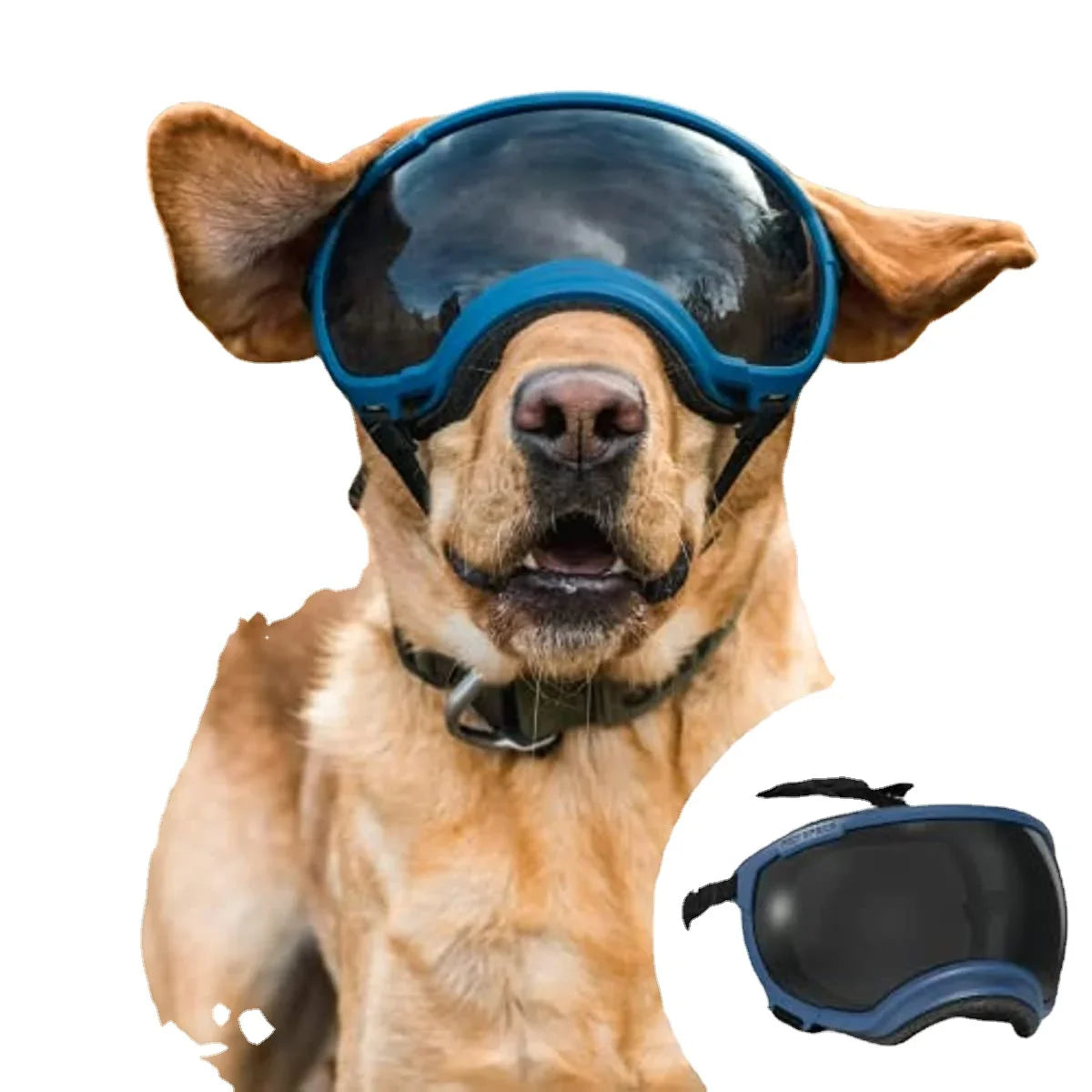 Hunde-Sonnenbrille mit UV-Schutz winddicht verstellbar Karnz