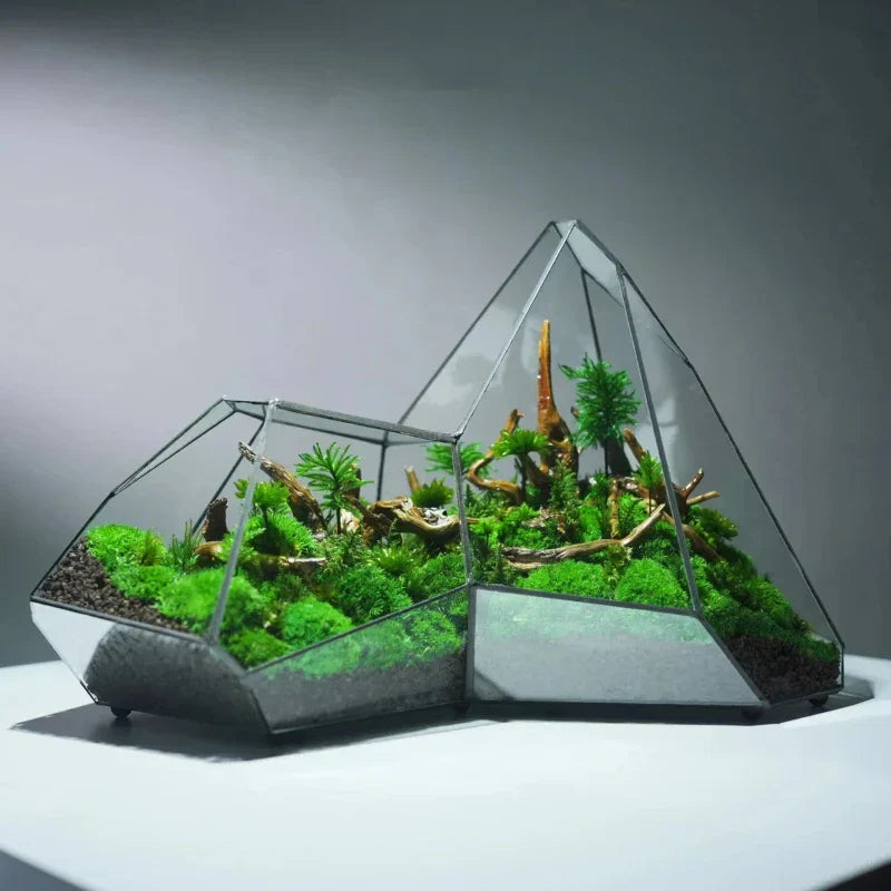 Geometric Glass Moss Planter Terrarium Vase | Karnz