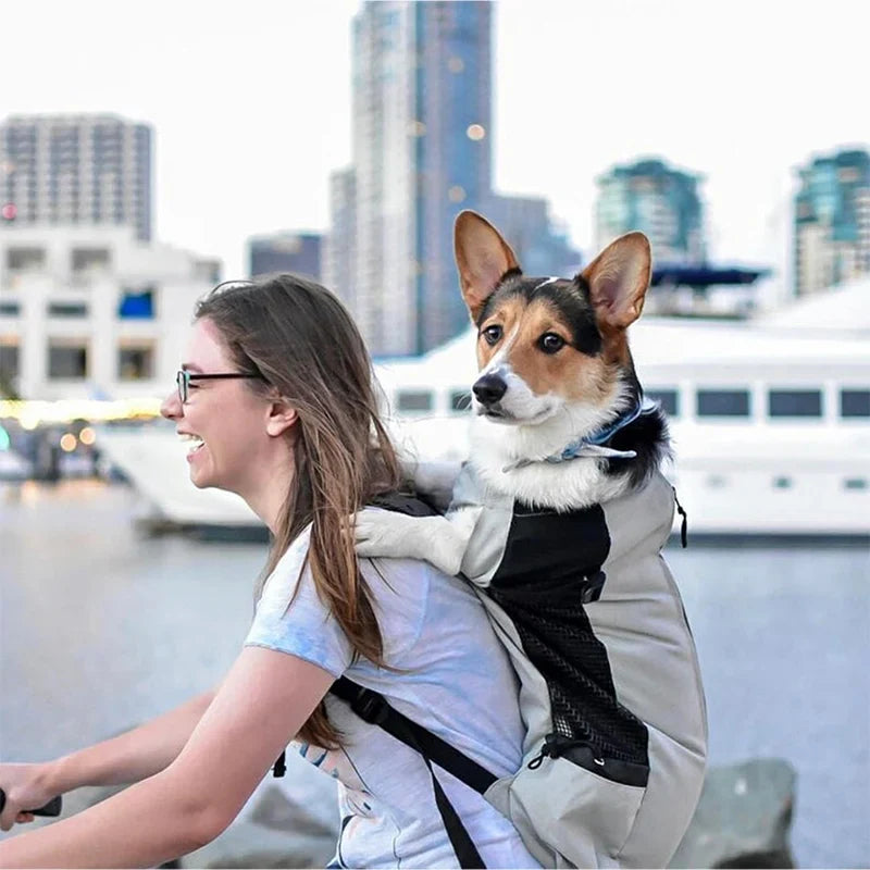 Hunderrucksack für Outdoor & Reisen atmungsaktive Karnz