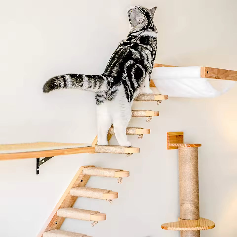 Katzenkletterleiter zur Wandmontage aus Holz mit Sisal Karnz