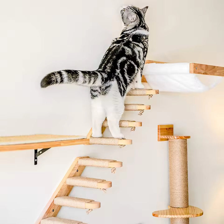 Katzenkletterleiter zur Wandmontage aus Holz mit Sisal Karnz