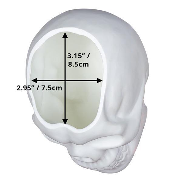 Skull Holder Pflanzentopf | Karnz