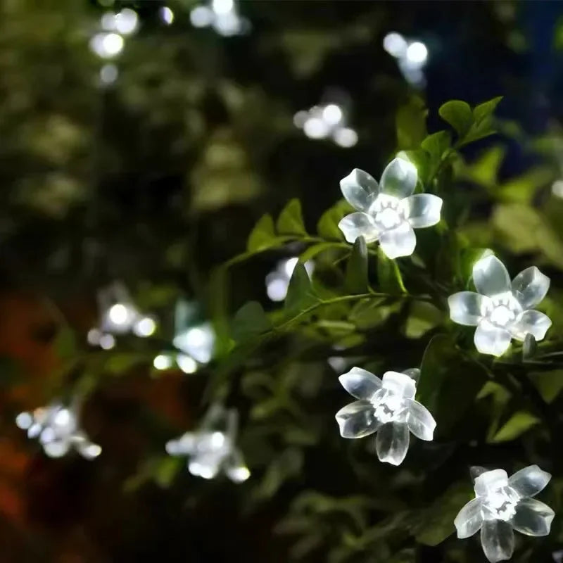 Solarbetriebene Blumen-Gartenlichter für bezaubernde Außenatmosphäre