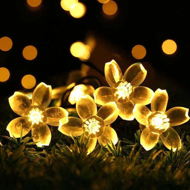 Karnz | Pfirsichblüten Lichterkette