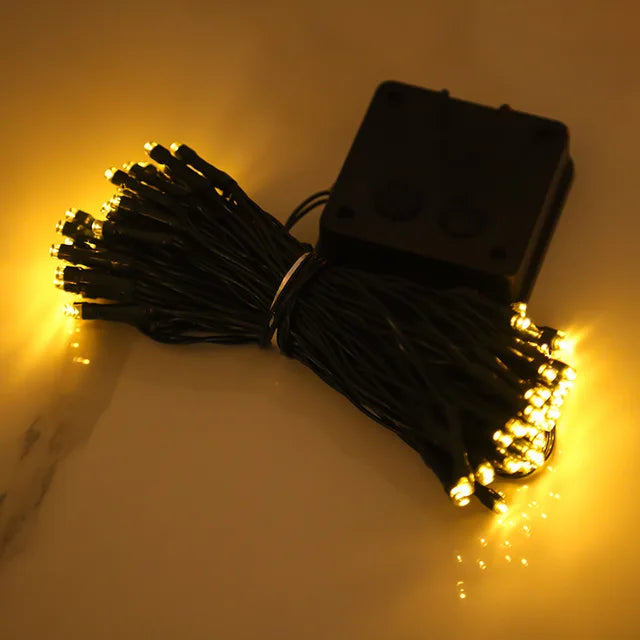 Karnz | Pfirsichblüten Lichterkette