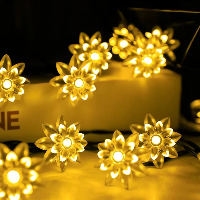 Karnz | Pfirsichblüten Lichterkette