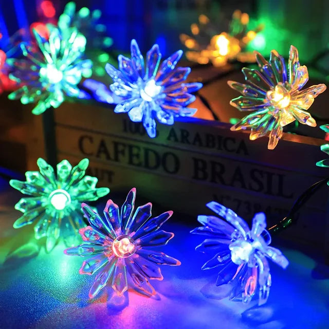 Karnz | Pfirsichblüten Lichterkette