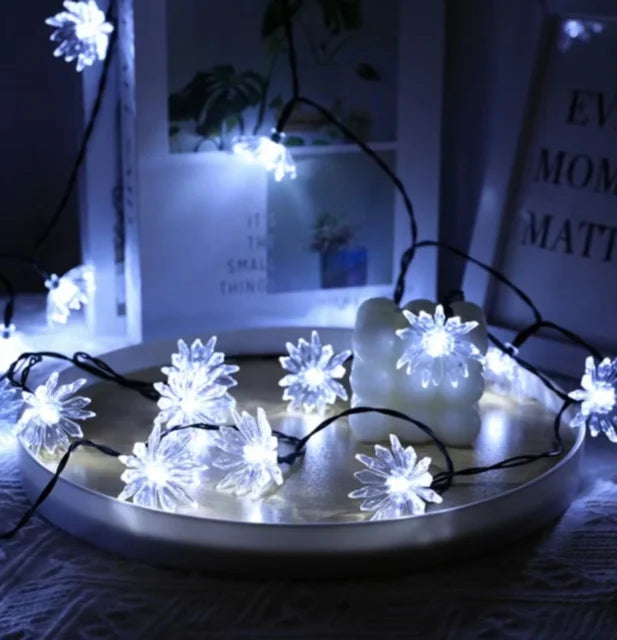 Karnz | Pfirsichblüten Lichterkette