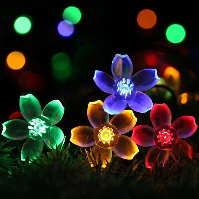 Karnz | Pfirsichblüten Lichterkette