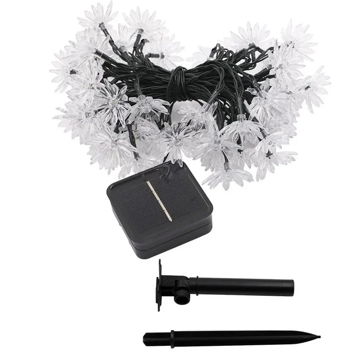 Pfirsichblüten-Lichterkette
