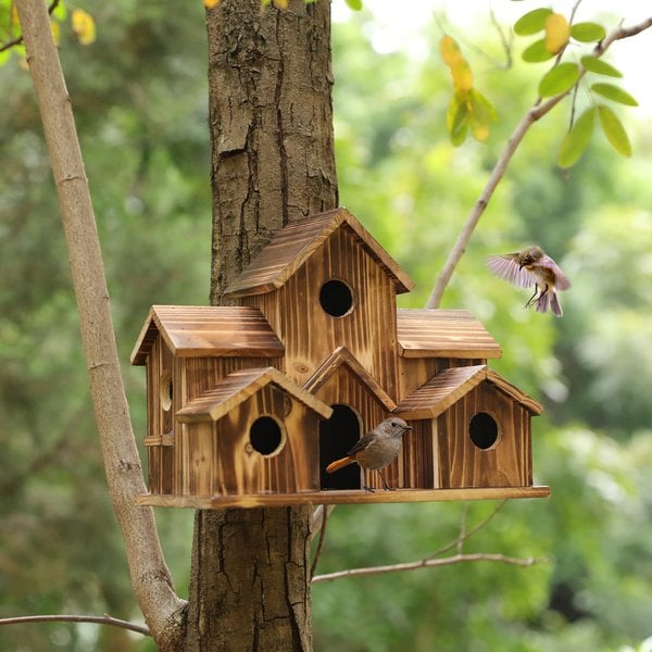 NestHaven Holzvogelhaus mit 6 Zimmern | Karnz