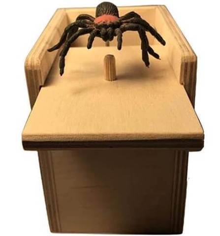 Spider Prank Box | Karnz