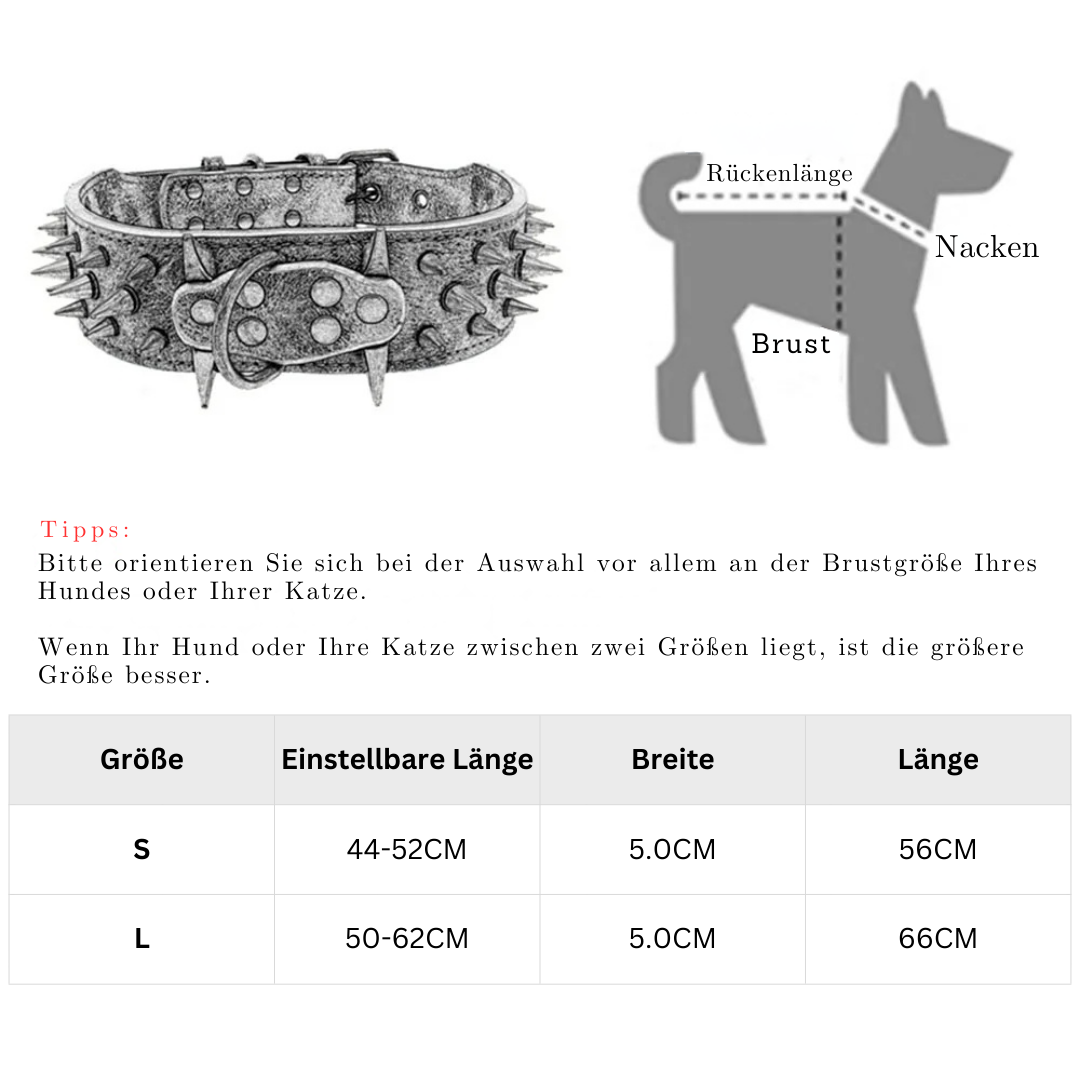 Hundehalsband mit Nieten für große Hunde Karnz