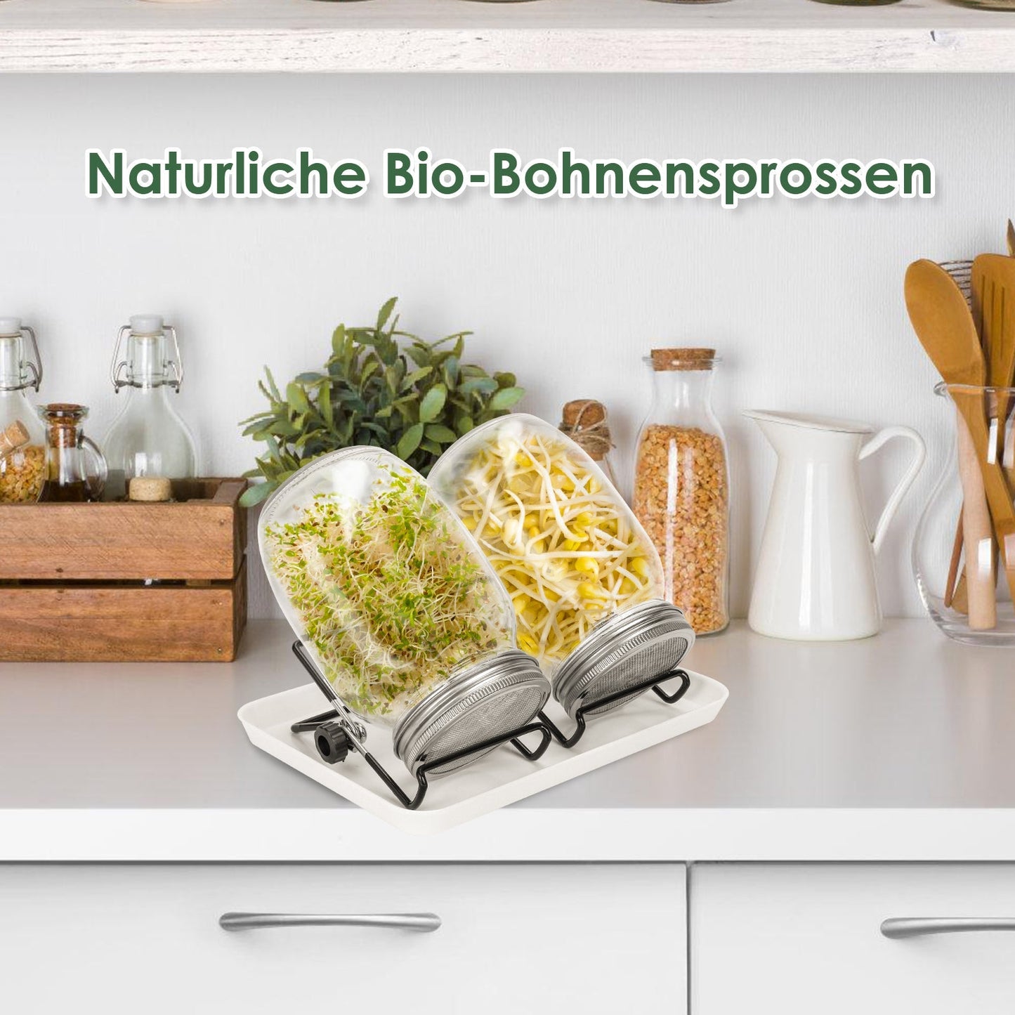Sprossenglas Keimglas 2er mit Deckel & Sieb 950ML | Karnz