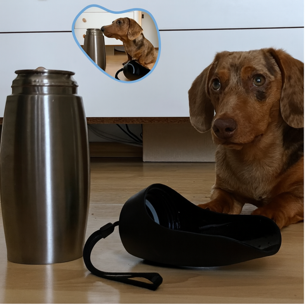 Tragbare, auslaufsichere Hunde-Trinkflasche aus Edelstahl für unterwegs