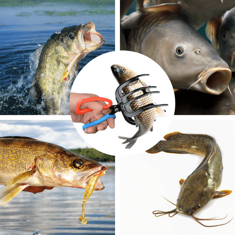 Karnz | eine Anglerzange Metall Fischkontrolle
