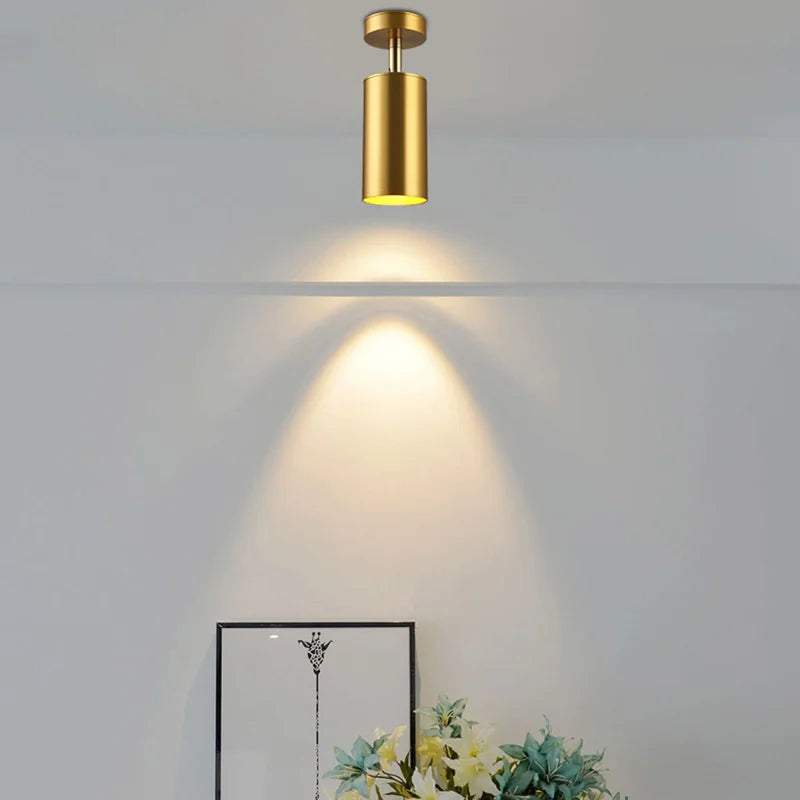 Moderne drehbare LED-Deckenleuchte aus Gold – Verstellbare Beleuchtung für Wohn- und Arbeitsbereiche | Karnz