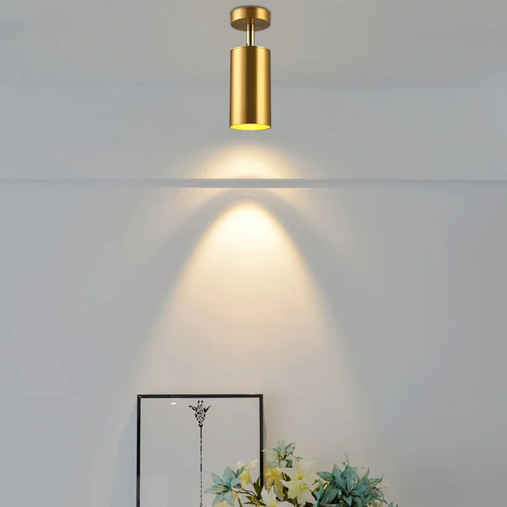 Moderne drehbare LED-Deckenleuchte aus Gold – Verstellbare Beleuchtung für Wohn- und Arbeitsbereiche | Karnz