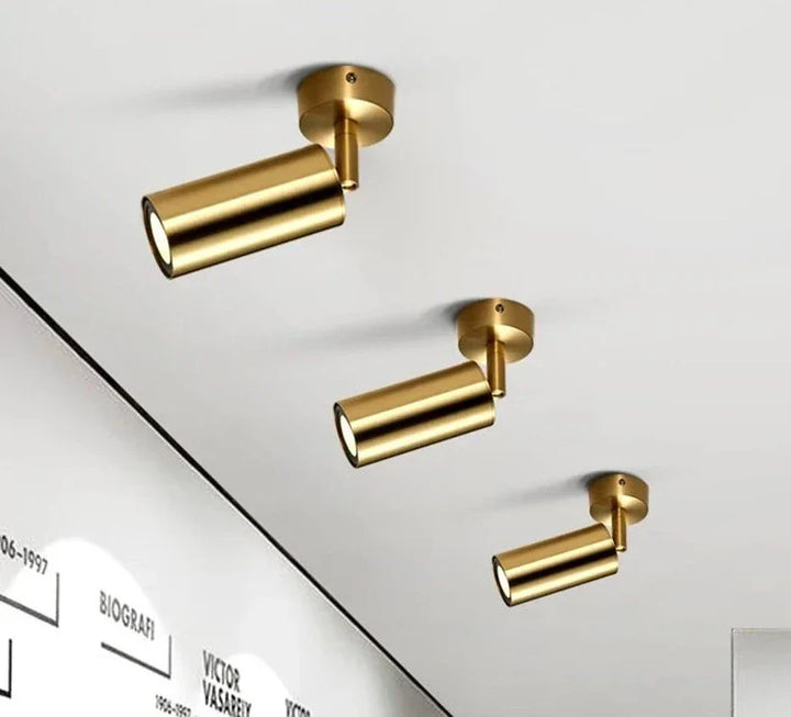 Moderne drehbare LED-Deckenleuchte aus Gold – Verstellbare Beleuchtung für Wohn- und Arbeitsbereiche | Karnz