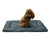 Sandsberg | Outdoor Camping Faltbare Haustier Schlafmatte 600D Oxford Stoff Wasserdichte Hundematte (Grau)