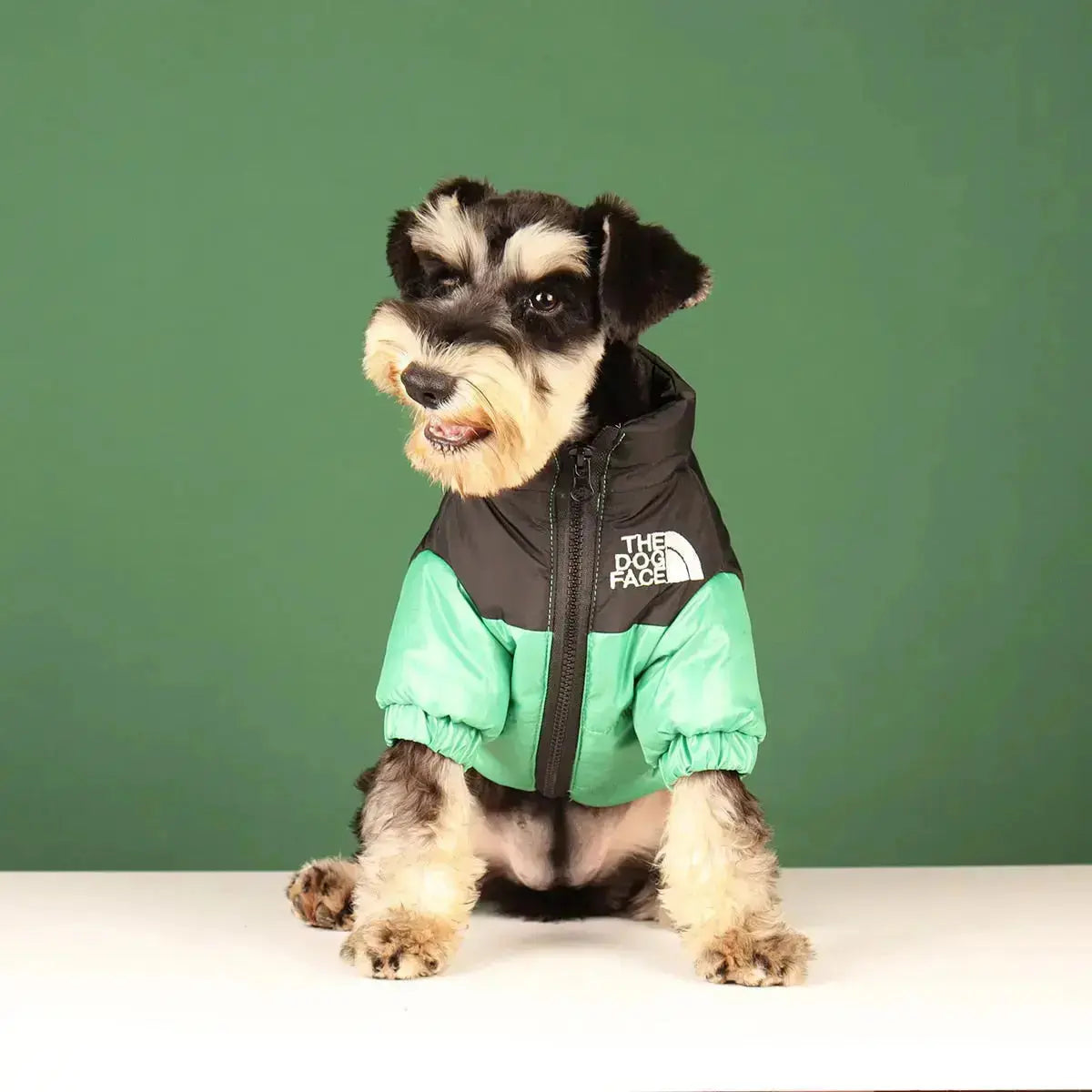 Sandsberg | Hunde-Winterjacke | Gefüttert und Winddicht