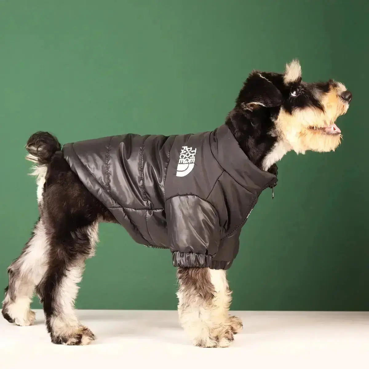 Sandsberg | Hunde-Winterjacke | Gefüttert und Winddicht