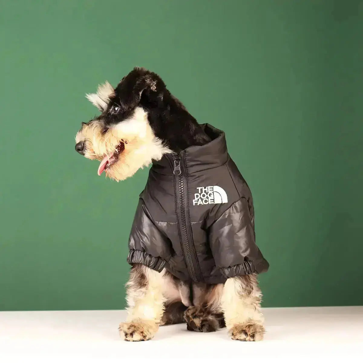 Sandsberg | Hunde-Winterjacke | Gefüttert und Winddicht