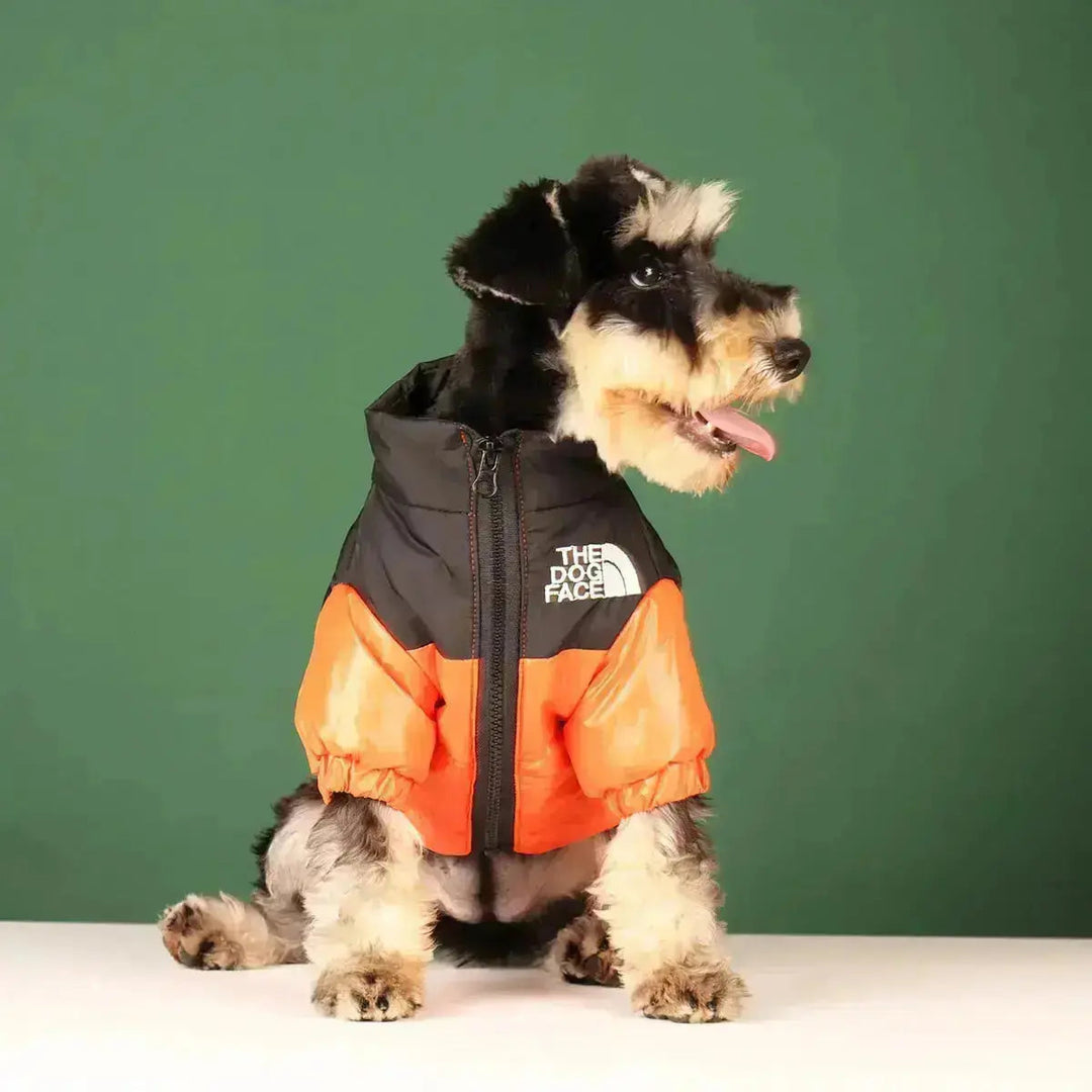 Sandsberg | Hunde-Winterjacke | Gefüttert und Winddicht
