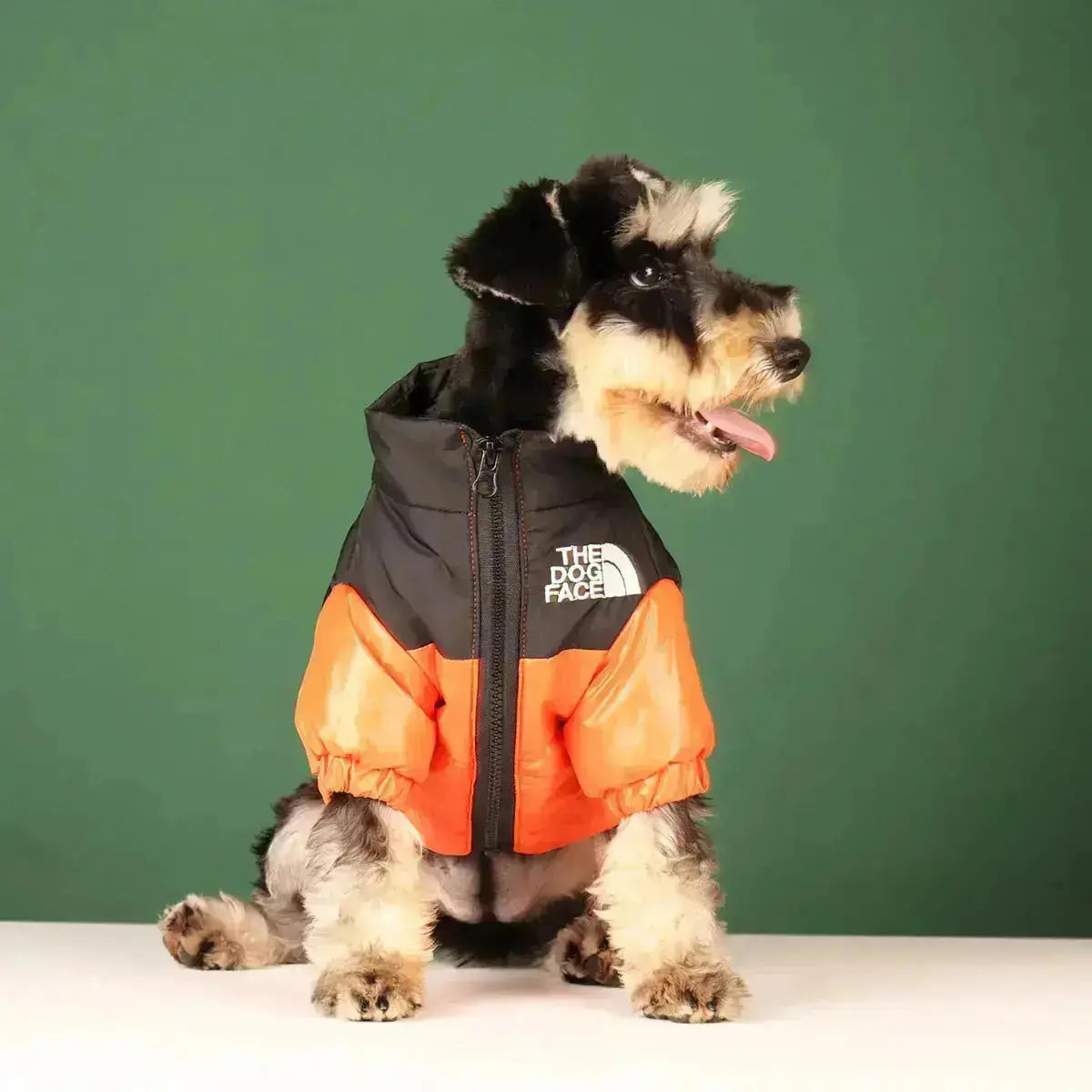 Sandsberg | Hunde-Winterjacke | Gefüttert und Winddicht