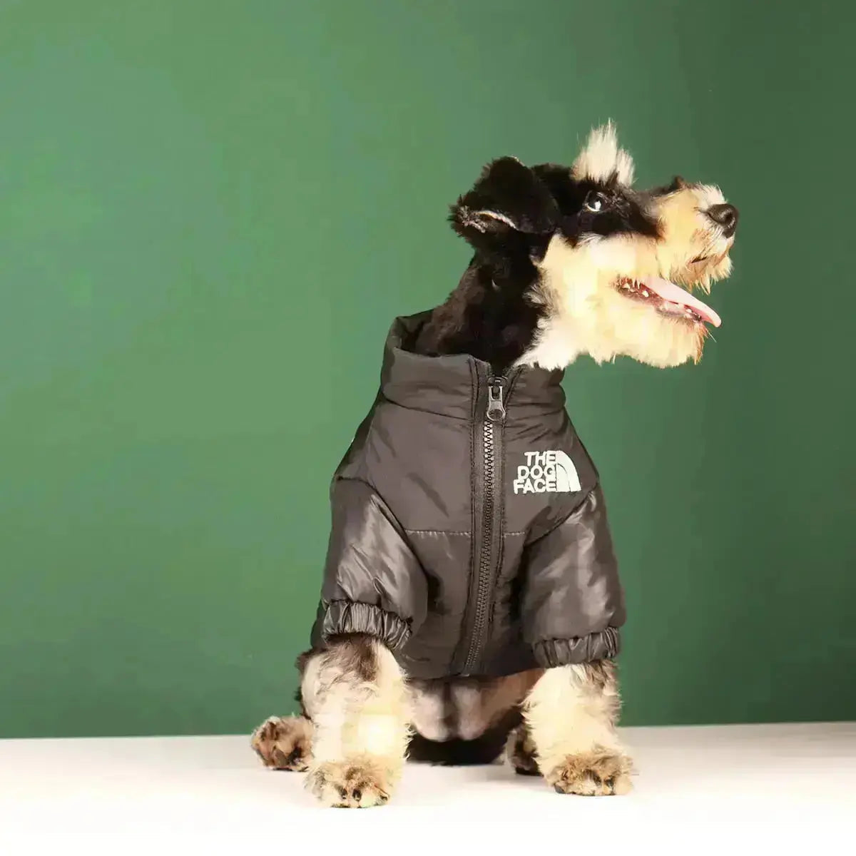 Sandsberg | Hunde-Winterjacke | Gefüttert und Winddicht
