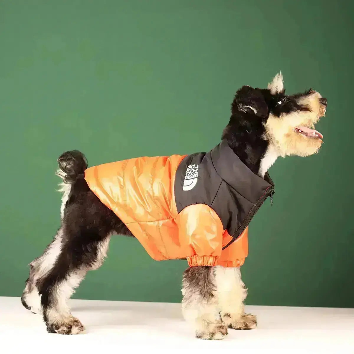 Sandsberg | Hunde-Winterjacke | Gefüttert und Winddicht
