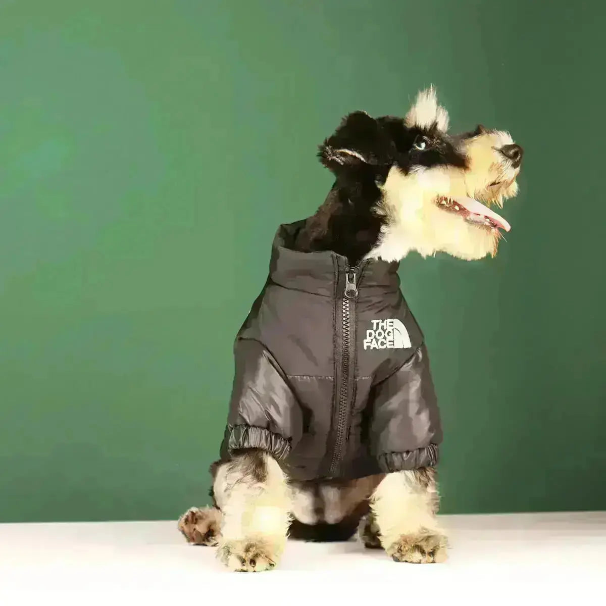 Sandsberg | Hunde-Winterjacke | Gefüttert und Winddicht