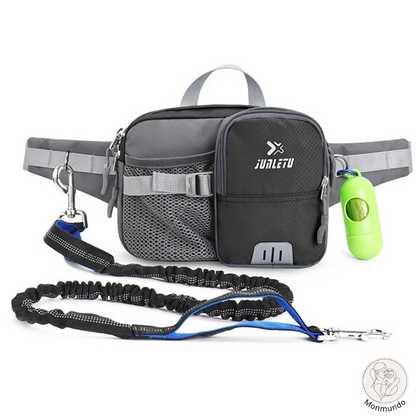 Hunde-Leine Hüfttasche Set | Karnz