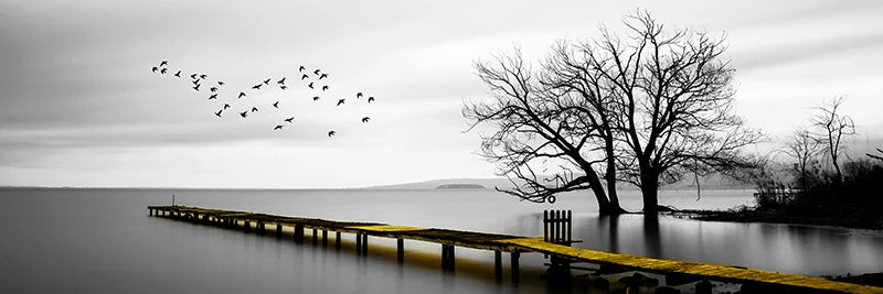 Ruhiger See Pier Breitformat Landschaft Wandkunst Feine Leinwanddrucke Schwarz Weiß Bilder Von Ruhe Für Über Dem Sofa Bild Für Über Dem Bett
