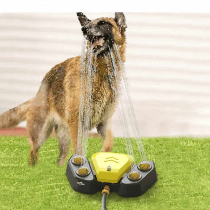 Multifunktionaler Hundesprinkler mit Trinkbrunnen Karnz