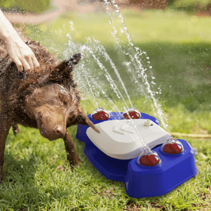Multifunktionaler Hundesprinkler mit Trinkbrunnen Karnz