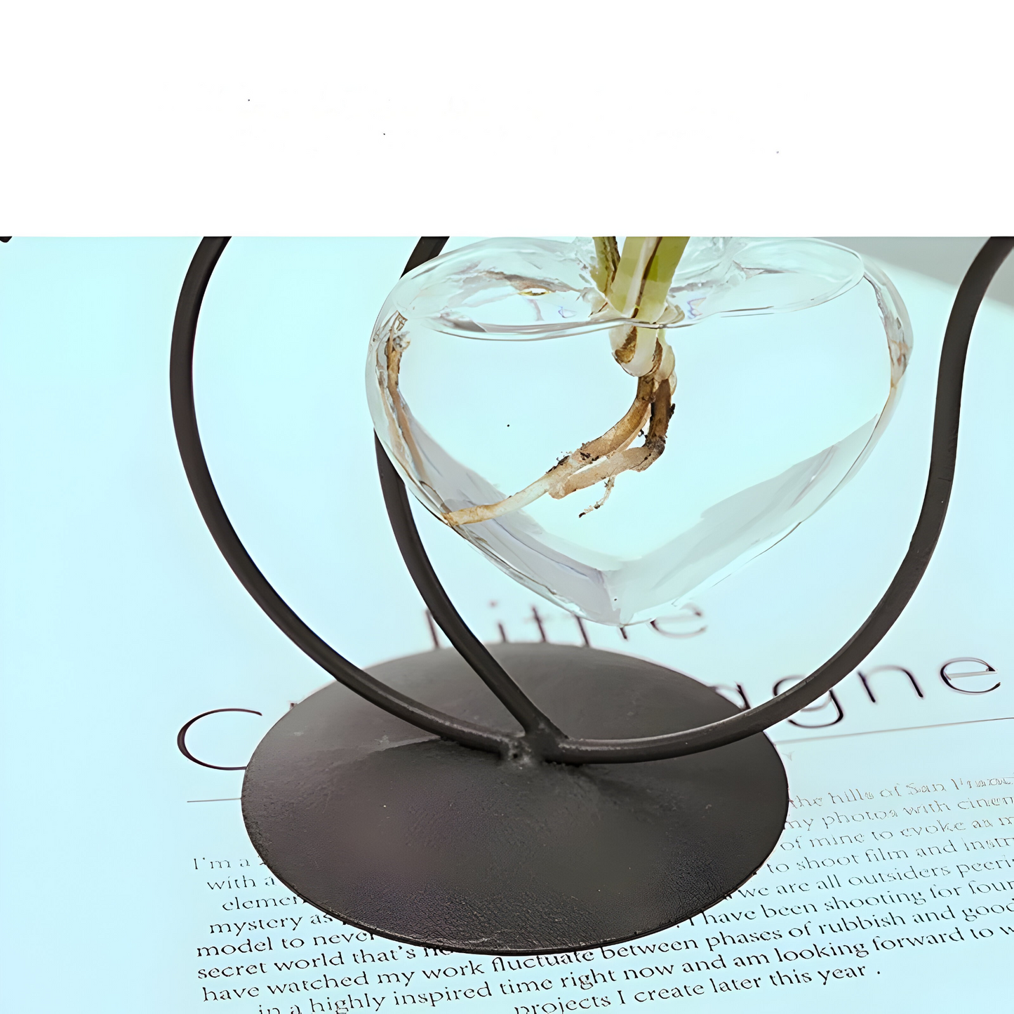AquaPurr Vase – Hydroponische Glasherzvase mit katzenförmigem Halter