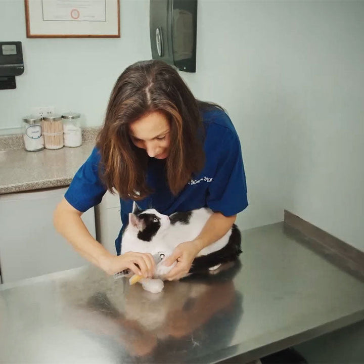 MAX - Bester Hundekratzer mit Quick-Sensoren | Sicher & Ergonomisch | Karnz