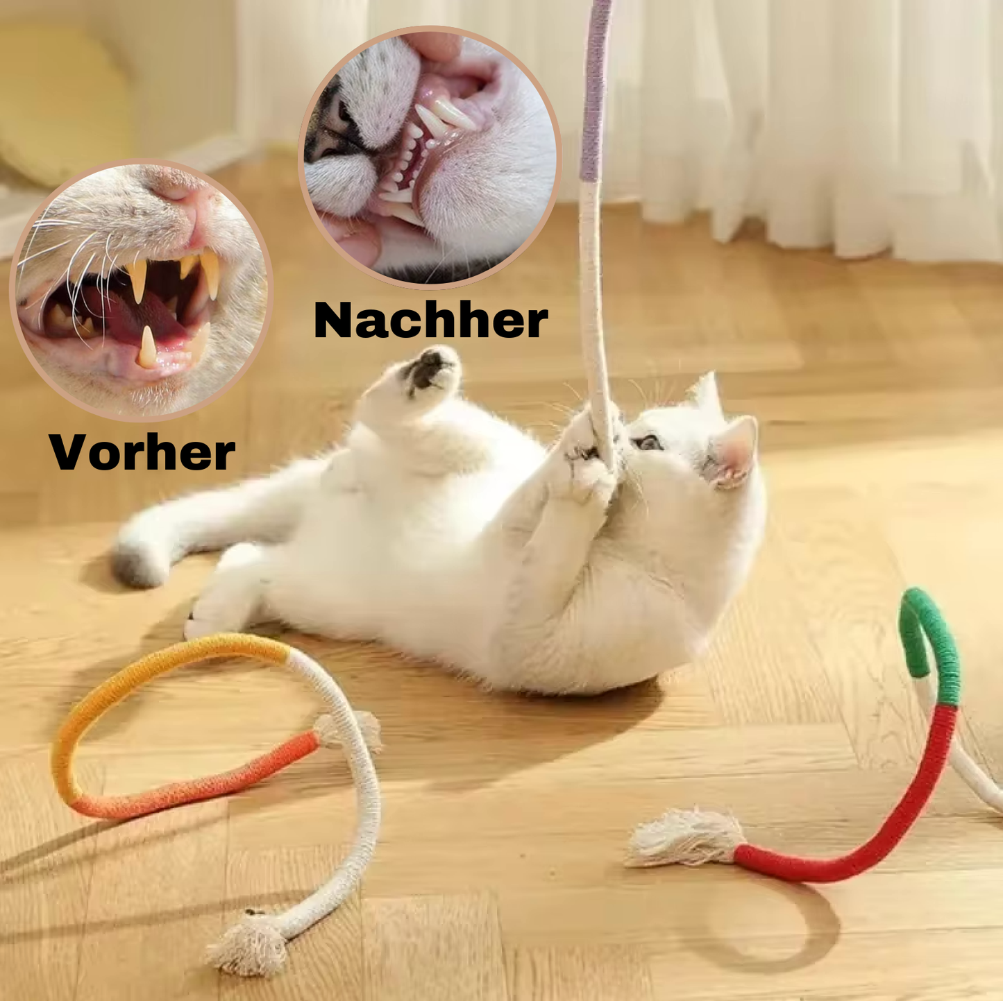 Zahnpflege-Spielzeug für Katzen | Karnz