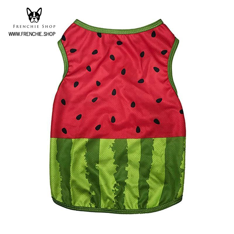 Coolify™ V2: Sommer Kühlshirt (CS18) | Karnz